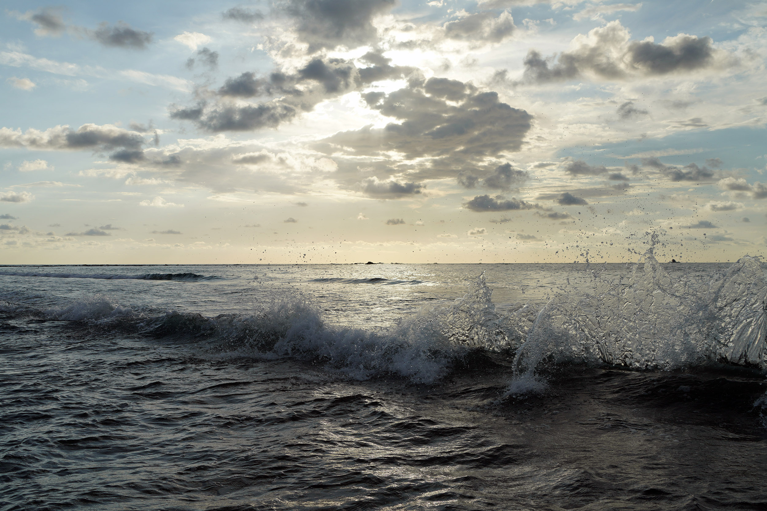 Costa Rica - Février 2025